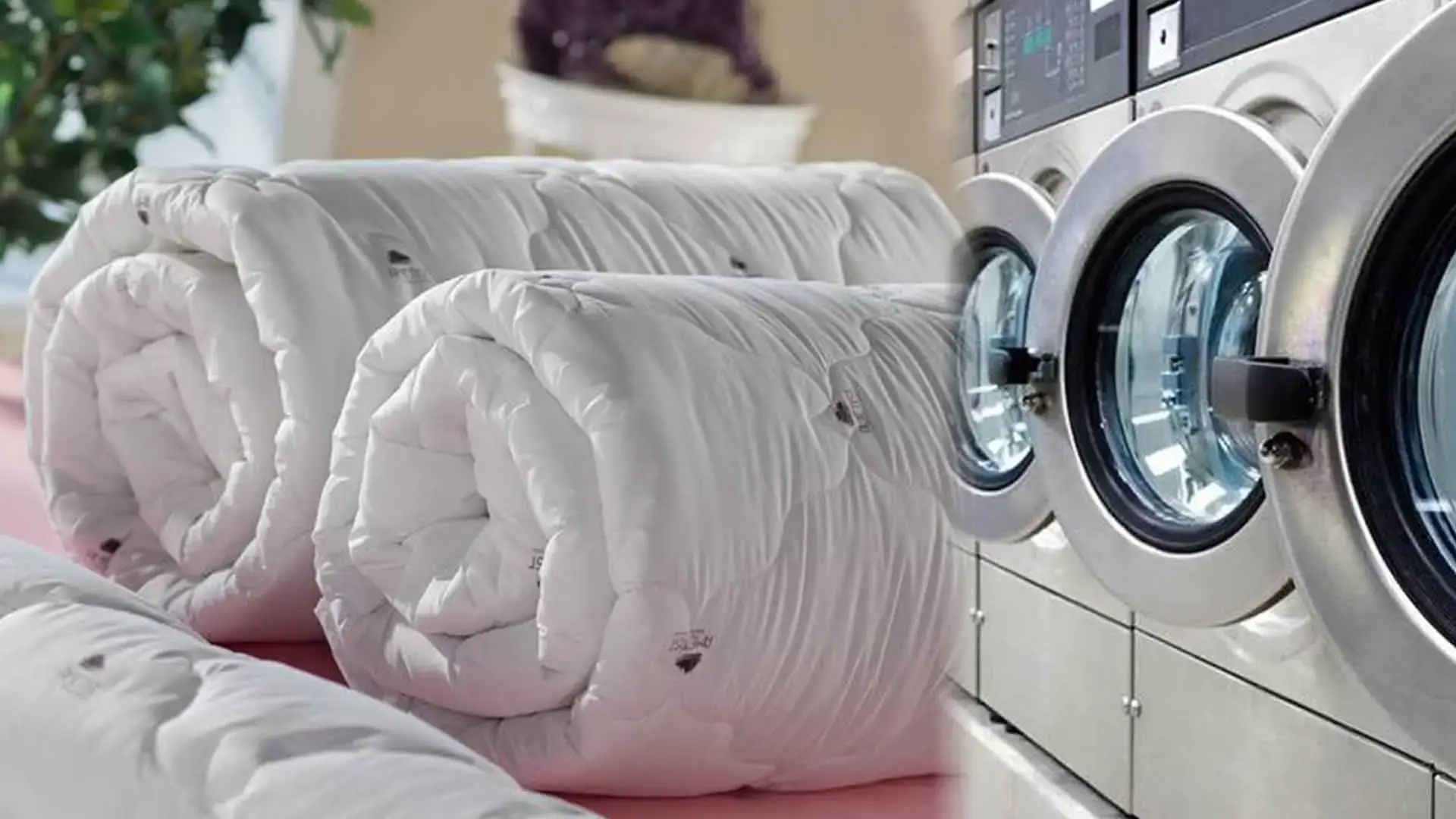 Bağcılar Yorgan Yıkama | Metropol-Bağcılar Halı Yıkama Bağcılar Yorgan Yıkama